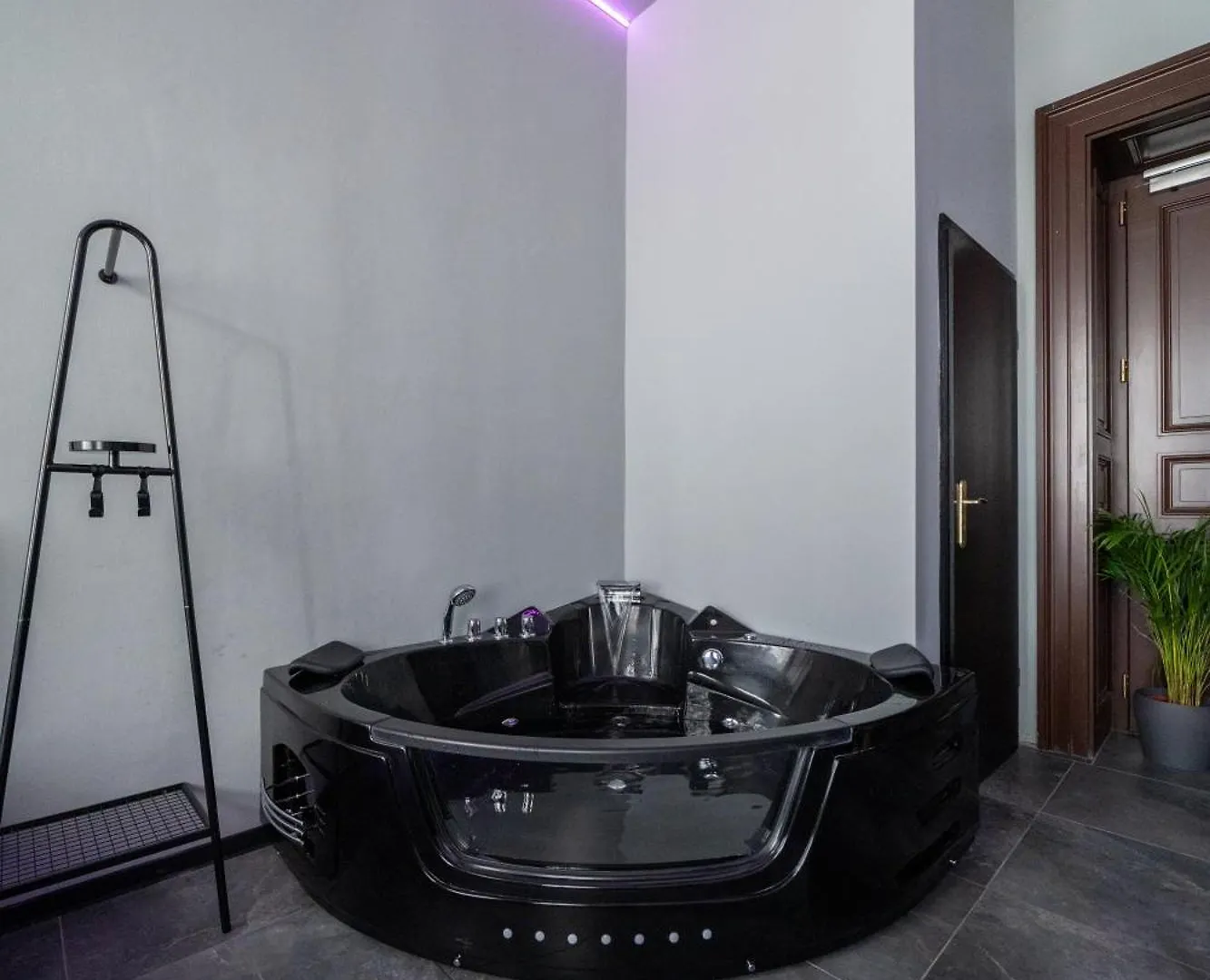 Отель Wellness Rooms Central Прага