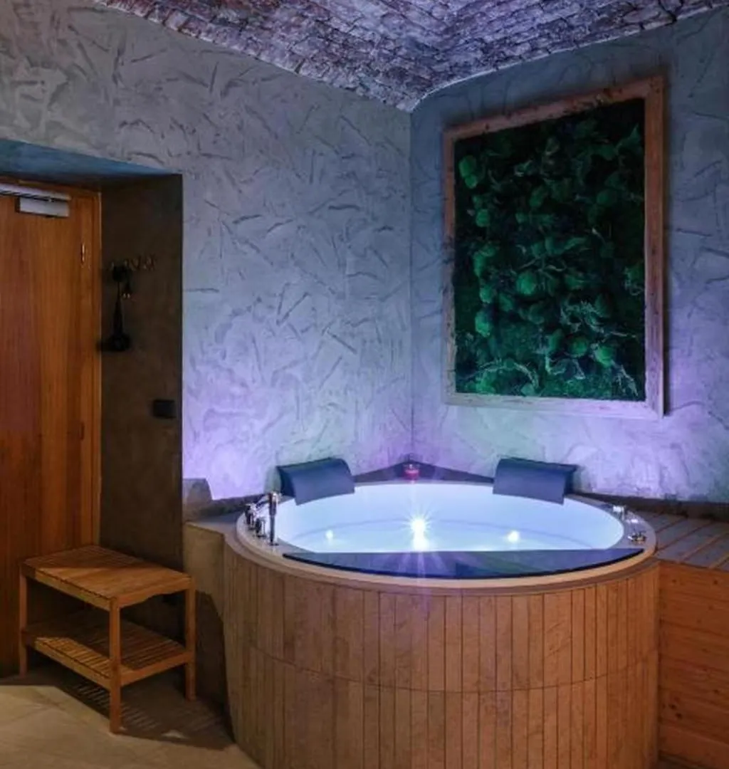 酒店 Wellness Rooms Central 布拉格
