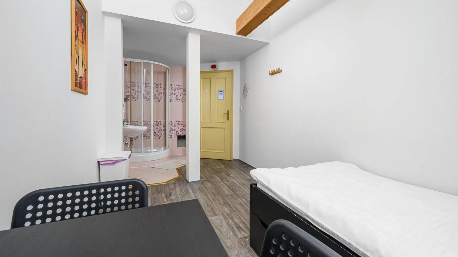 호텔 Wellness Rooms Central 프라하
